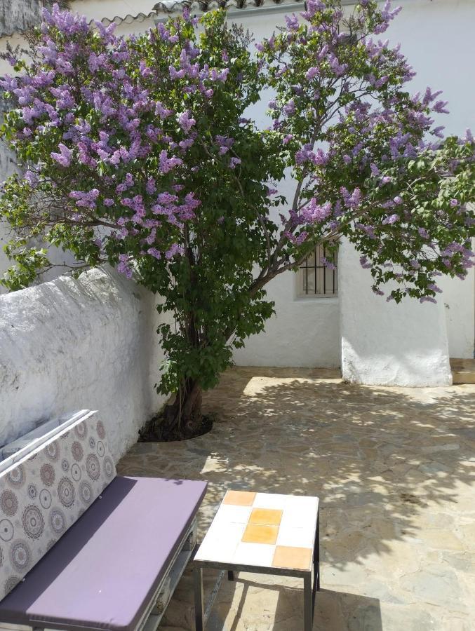 Casa Bejar, Tranquila Casa Con Chimenea, Patios, Junto A La Piscina Holiday home Canete la Real